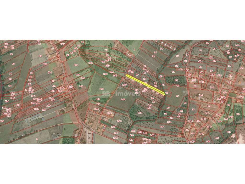 Terreno Rústico com 1800m2 - Bemposta, Tomar - Grande imagem: 5/5