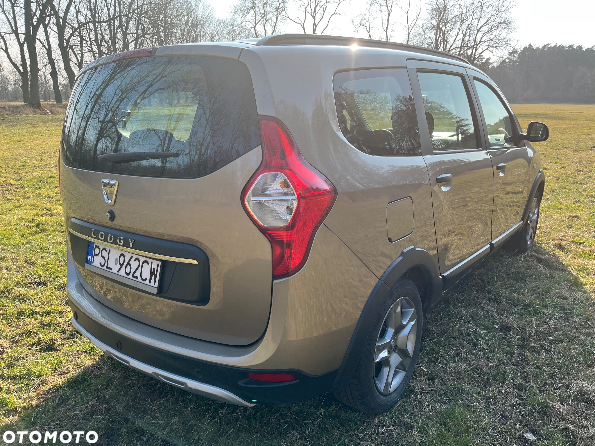 Dacia Lodgy Blue dCi 115 (7-Sitzer) Stepway Selection Blue - 6