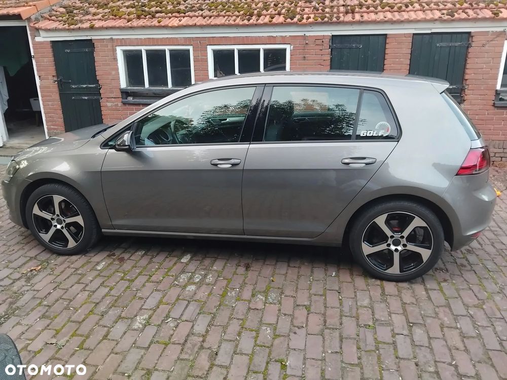 Volkswagen Golf - 12