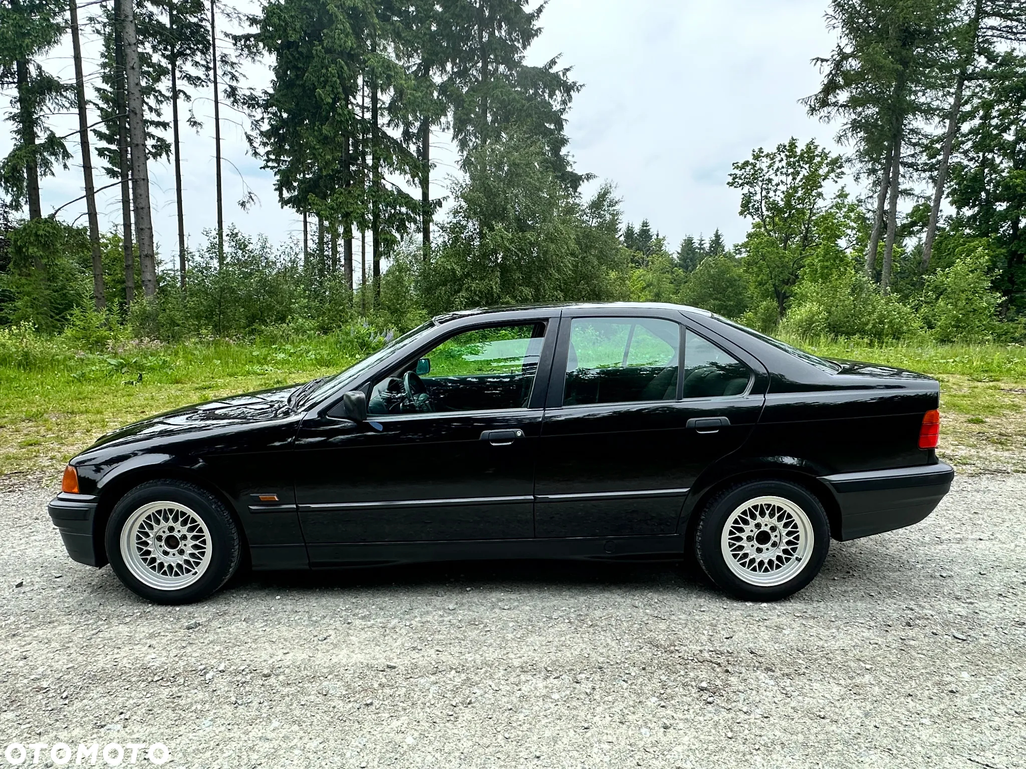 BMW Seria 3 - 15