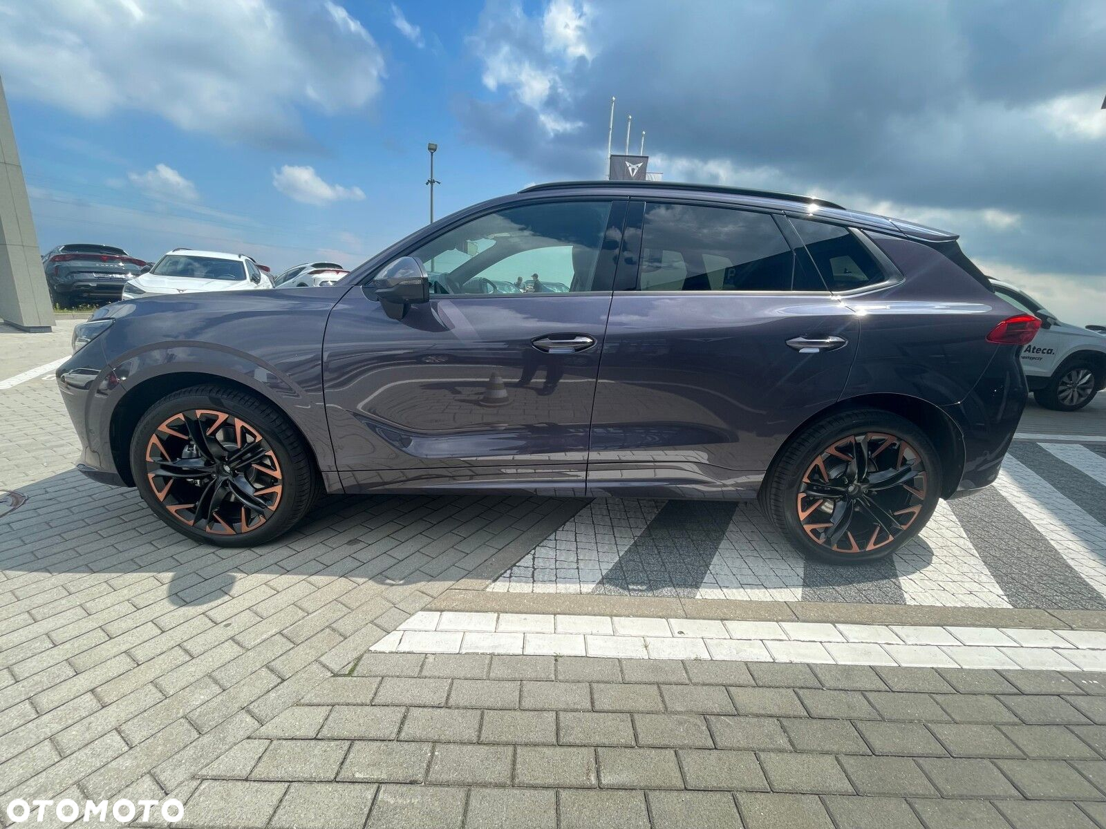 Cupra Terramar - 5