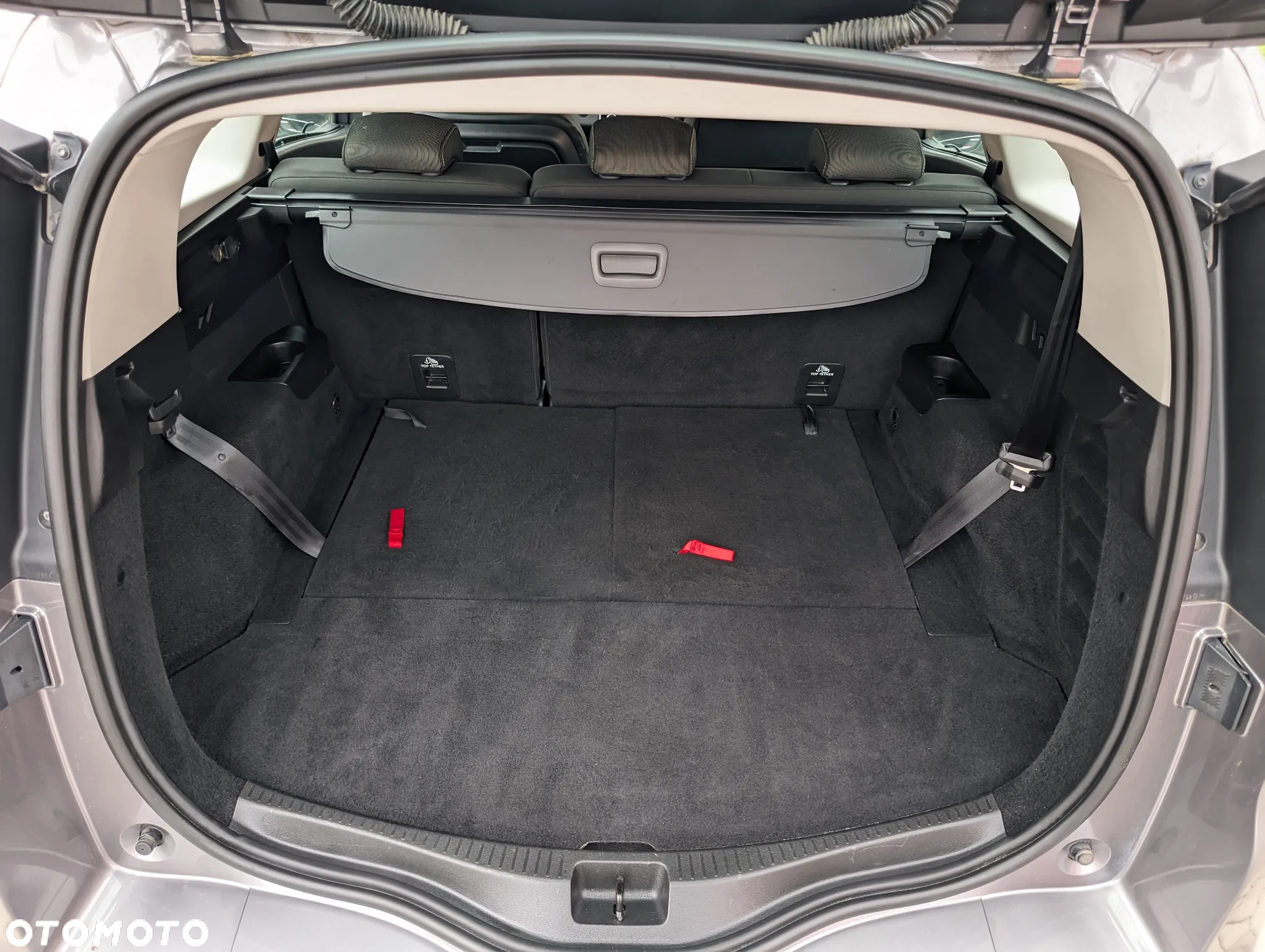 Renault Scenic - 14