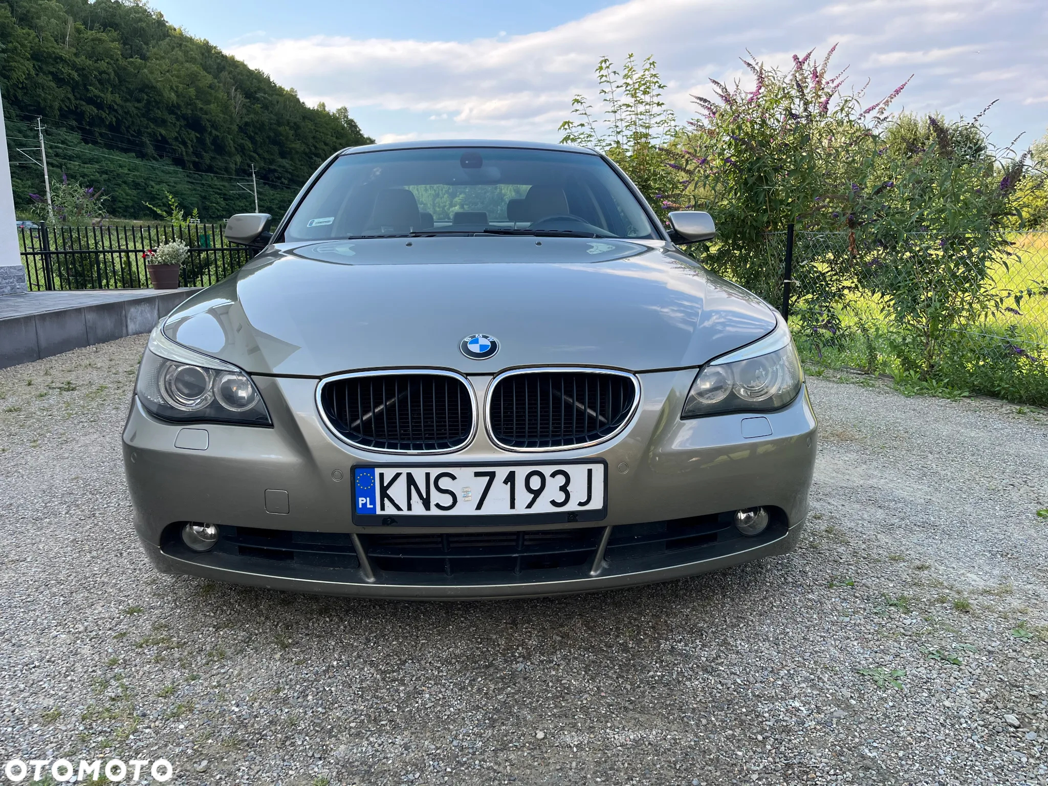 BMW Seria 5 - 3