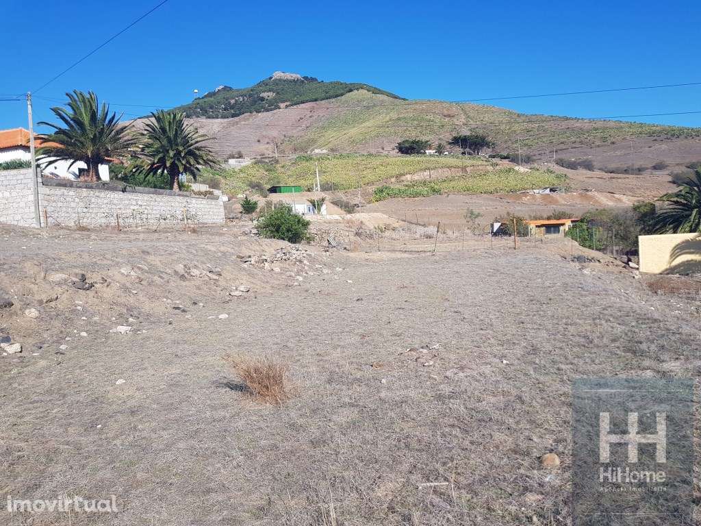 Lote terreno na Serra de Fora, Ilha do Porto Santo - Grande imagem: 5/16