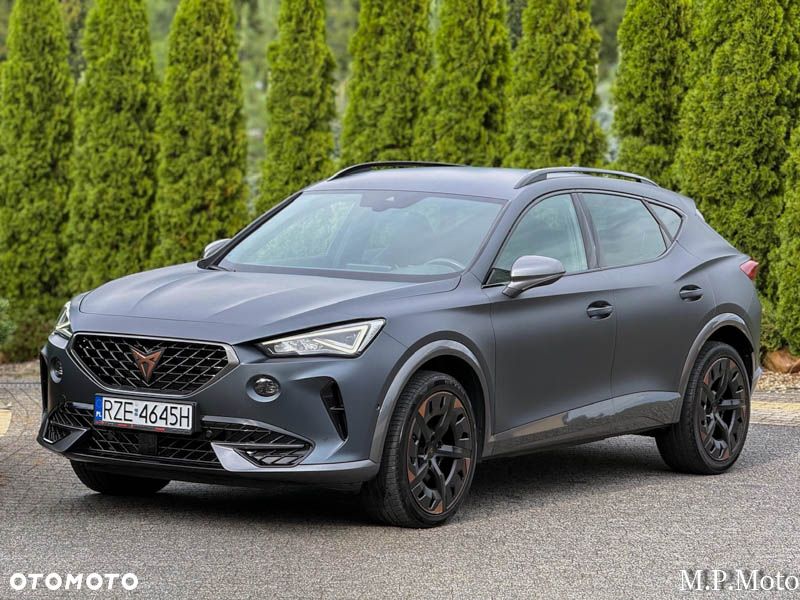 Cupra Formentor 2.0 TDI DSG Tribe Edition - 15
