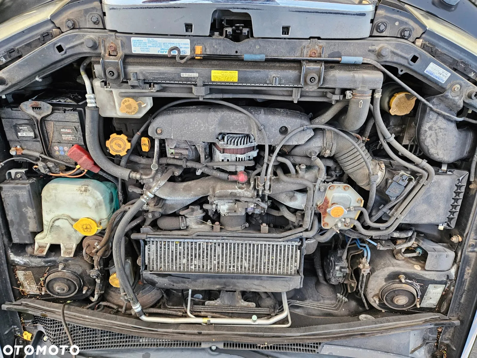 Subaru Forester - 18