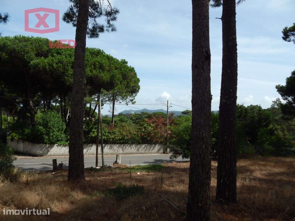 Terreno em Janas - Grande imagem: 2/9