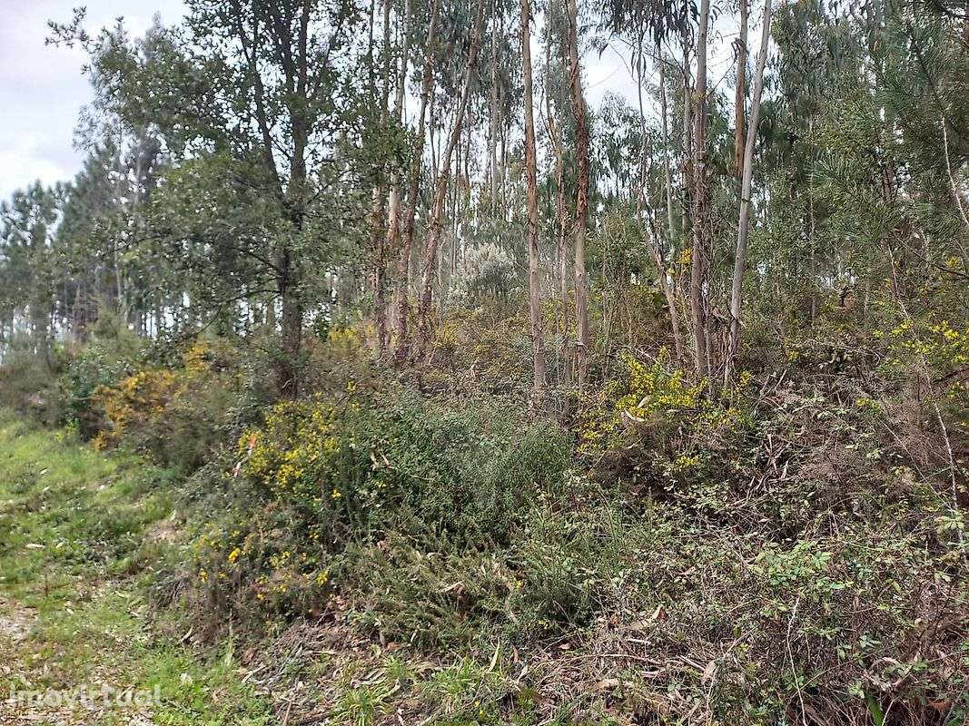 Terreno  para venda - Grande imagem: 3/3