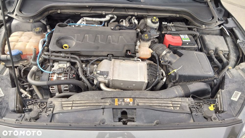 Ford Focus 2.0 EcoBlue ST-2 - 19