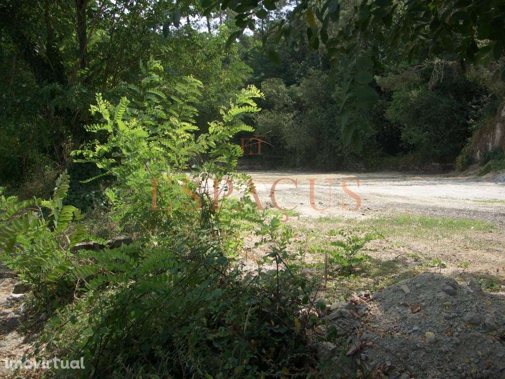 Terreno com viabilidade de construção 3 moradias - Grande imagem: 3/23