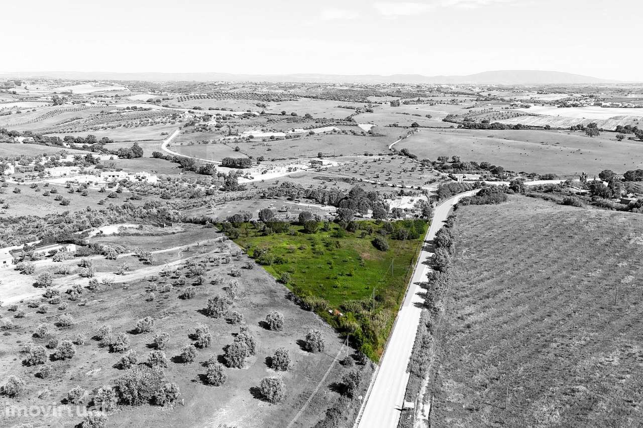 Terreno Rústico com Viabilidade de Construção de Armazém - Grande imagem: 3/13