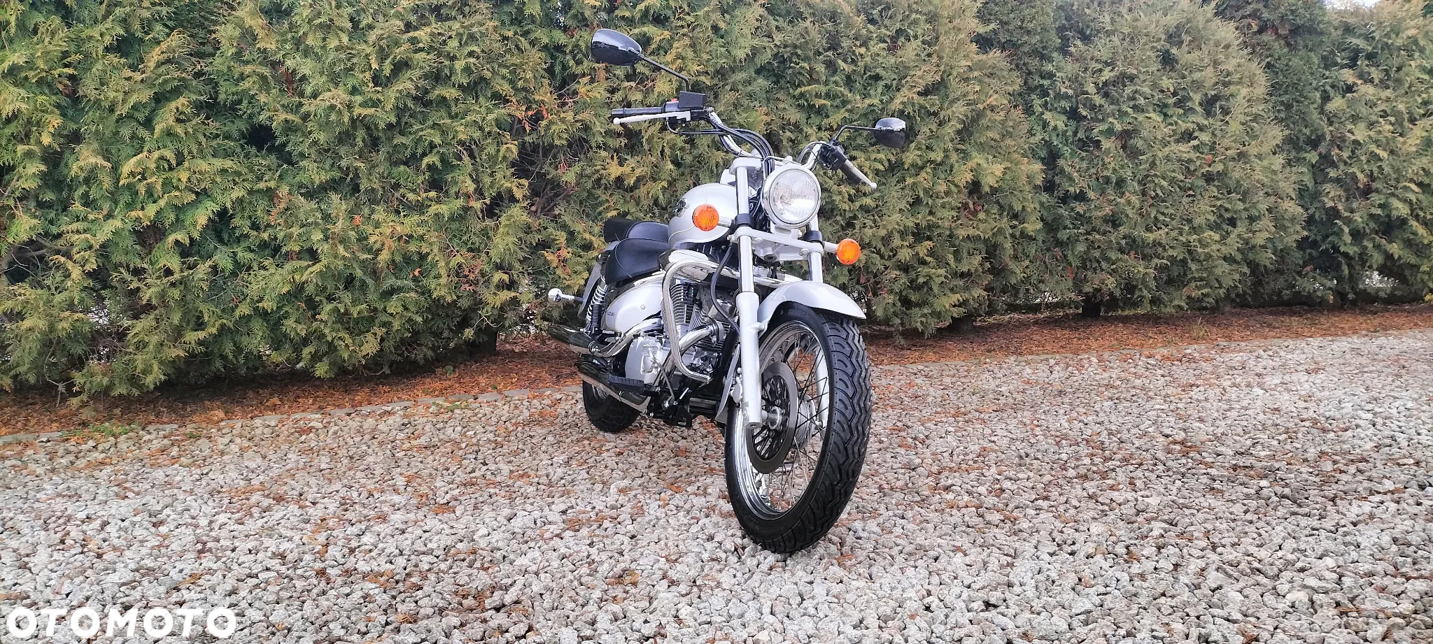 Suzuki Intruder - 4