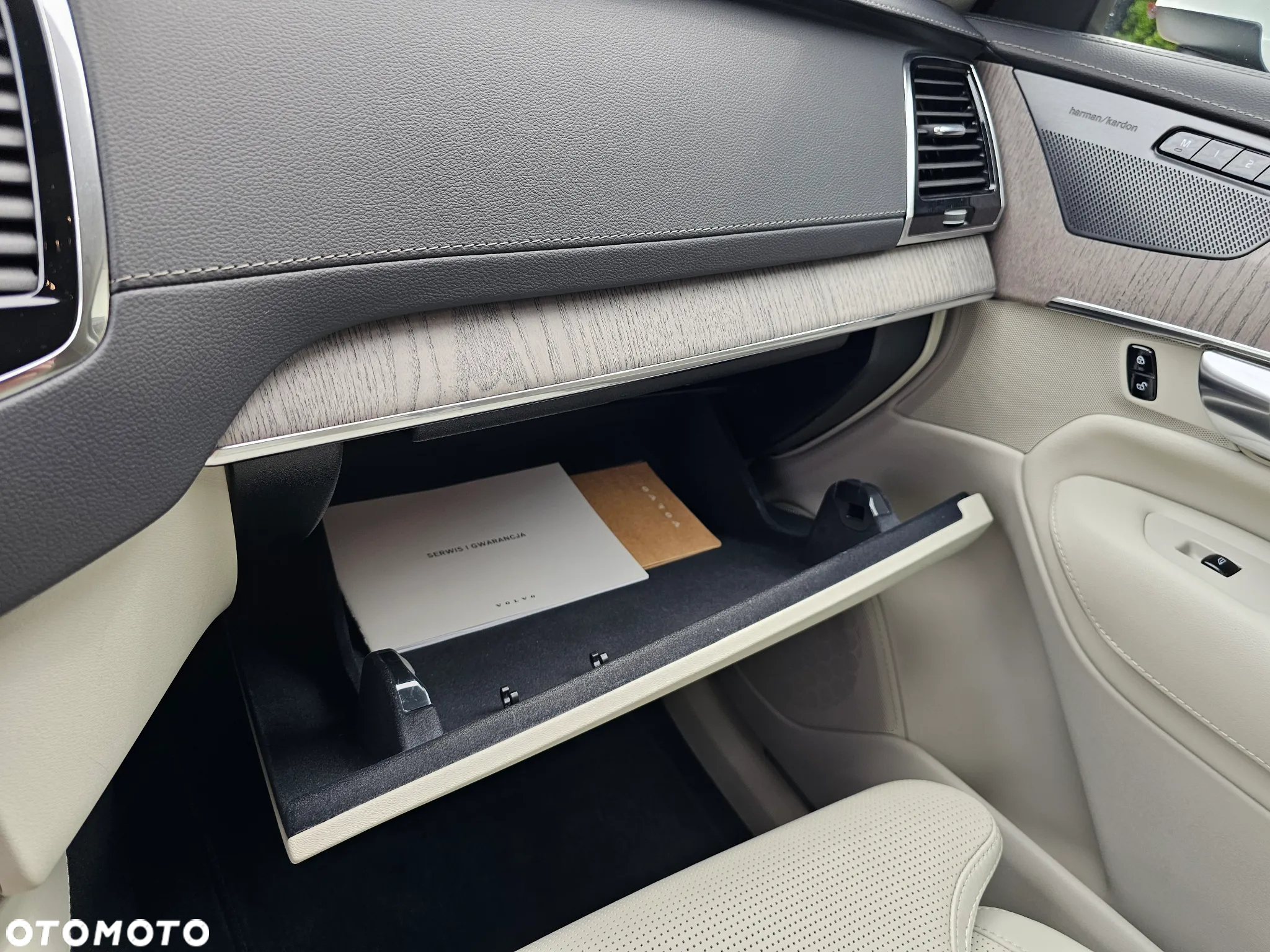 Volvo XC 90 - 20