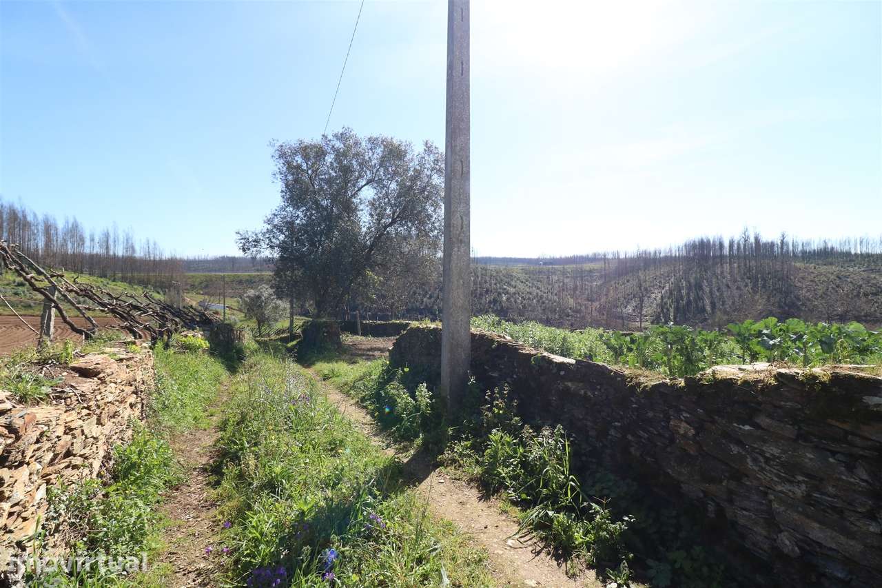 Terreno para Construção em Canelas, Estarreja - Grande imagem: 3/8