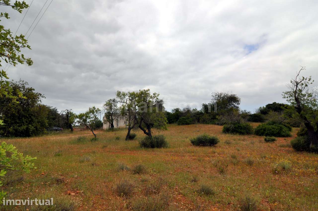 Terreno Para Construção  Venda em Pechão,Olhão - Grande imagem: 2/6