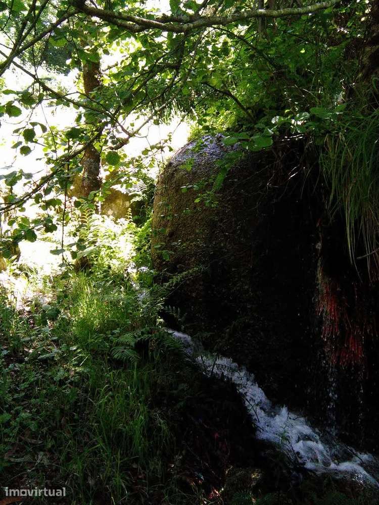 DOIS TERRENOS RÚSTICOS COM RIBEIRO, ÁGUA-SOALHÃES, MARCO DE CANAVESES - Grande imagem: 3/7