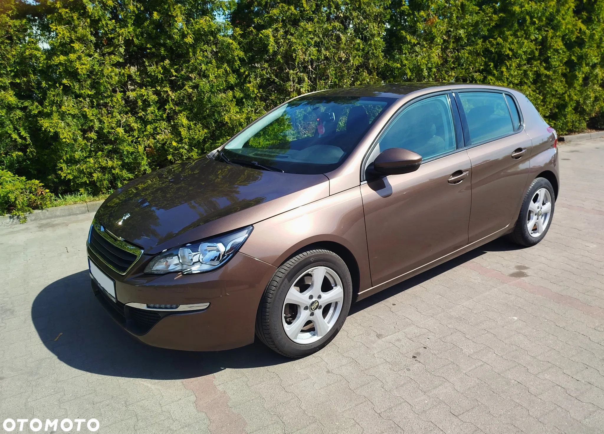 Peugeot 308 1.6 BlueHDi Active S&S - 5