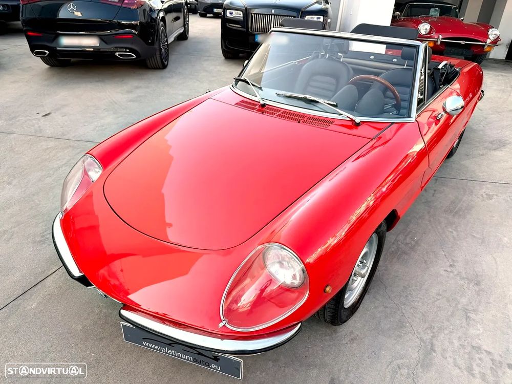 Alfa Romeo Spider - 53