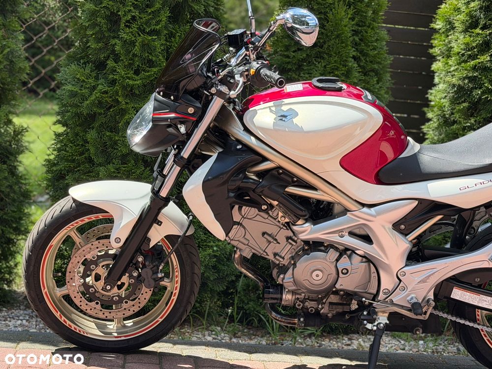 Suzuki Gladius - 19