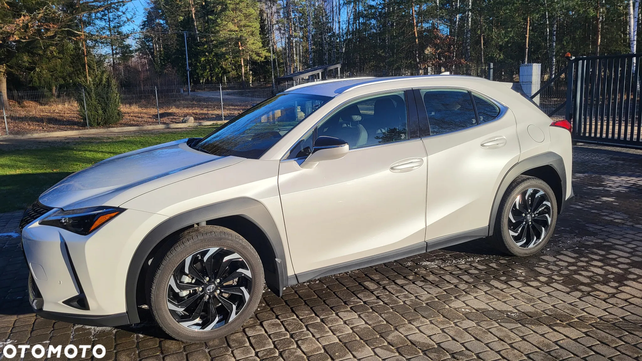Lexus UX 250h GPF Business AWD - 2
