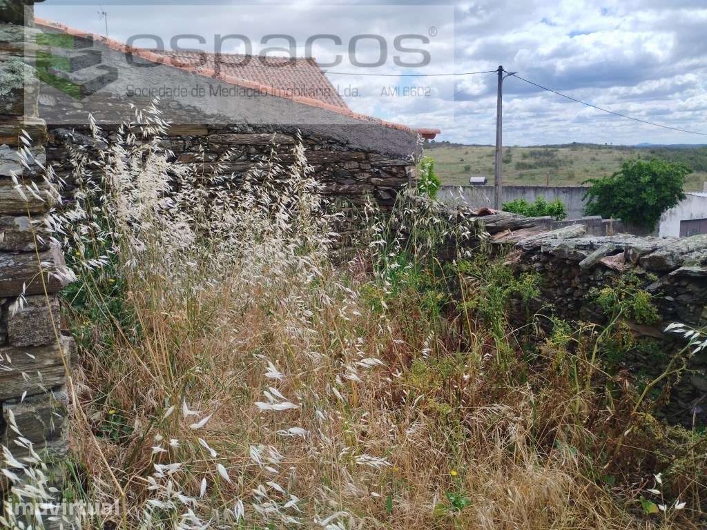 Palheiros com terreno em Monte Fidalgo - Grande imagem: 5/18