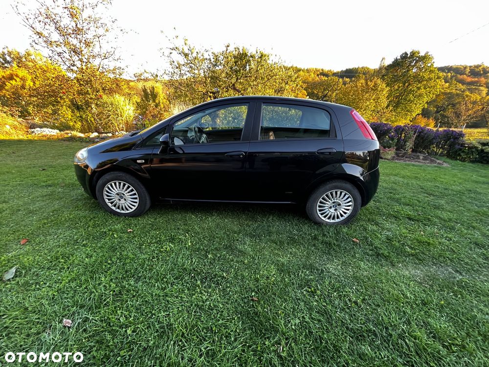 Fiat Punto - 8