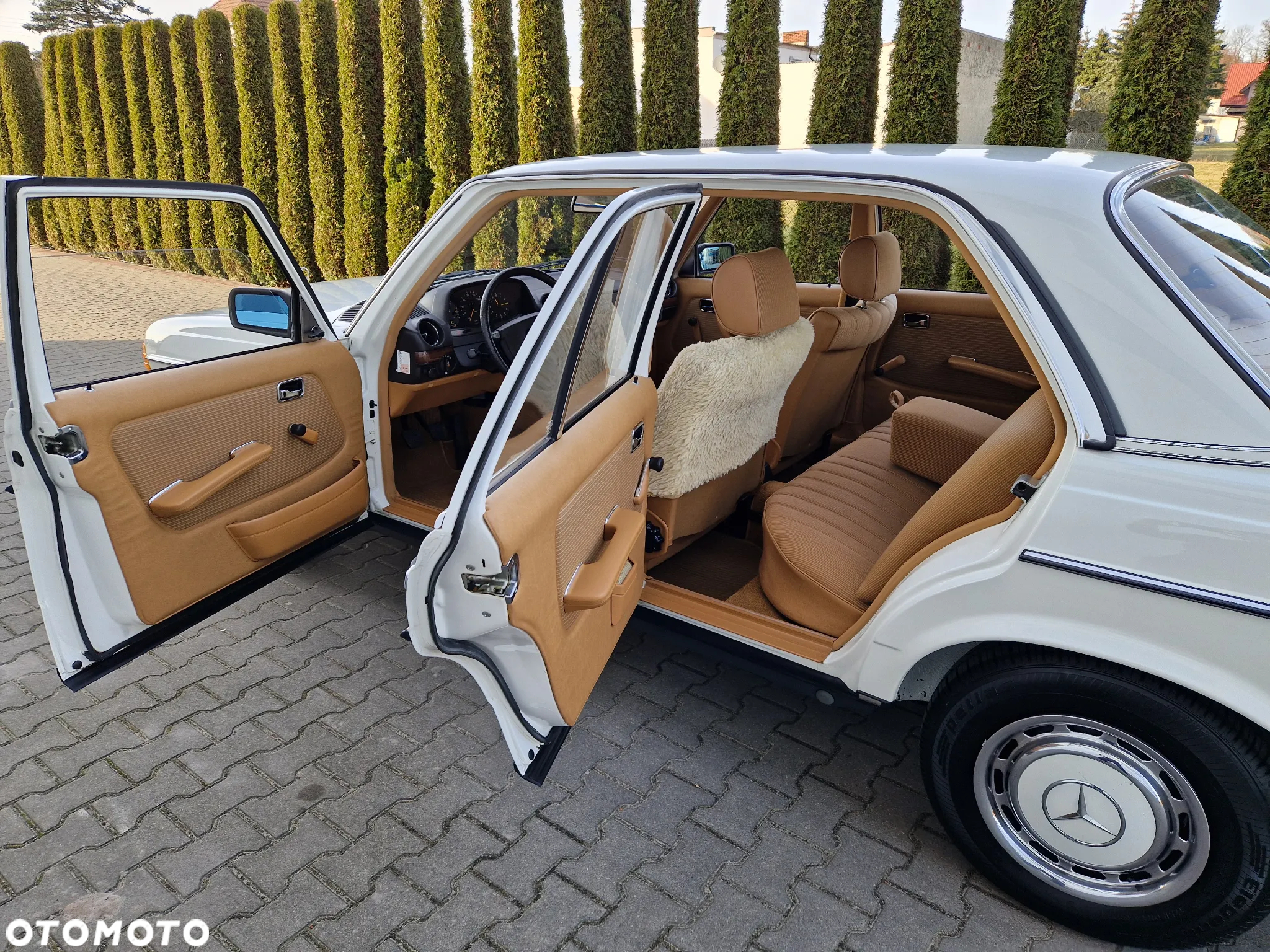 Mercedes-Benz W123 - 19