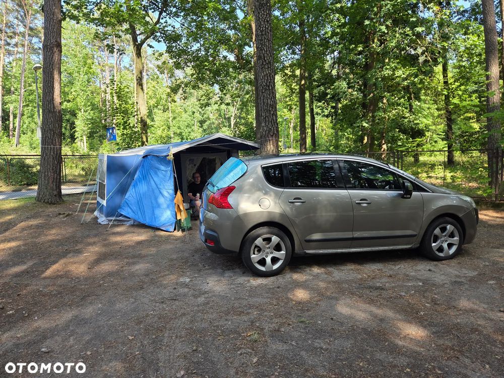 Peugeot 3008 1.6 Premium+ - 13