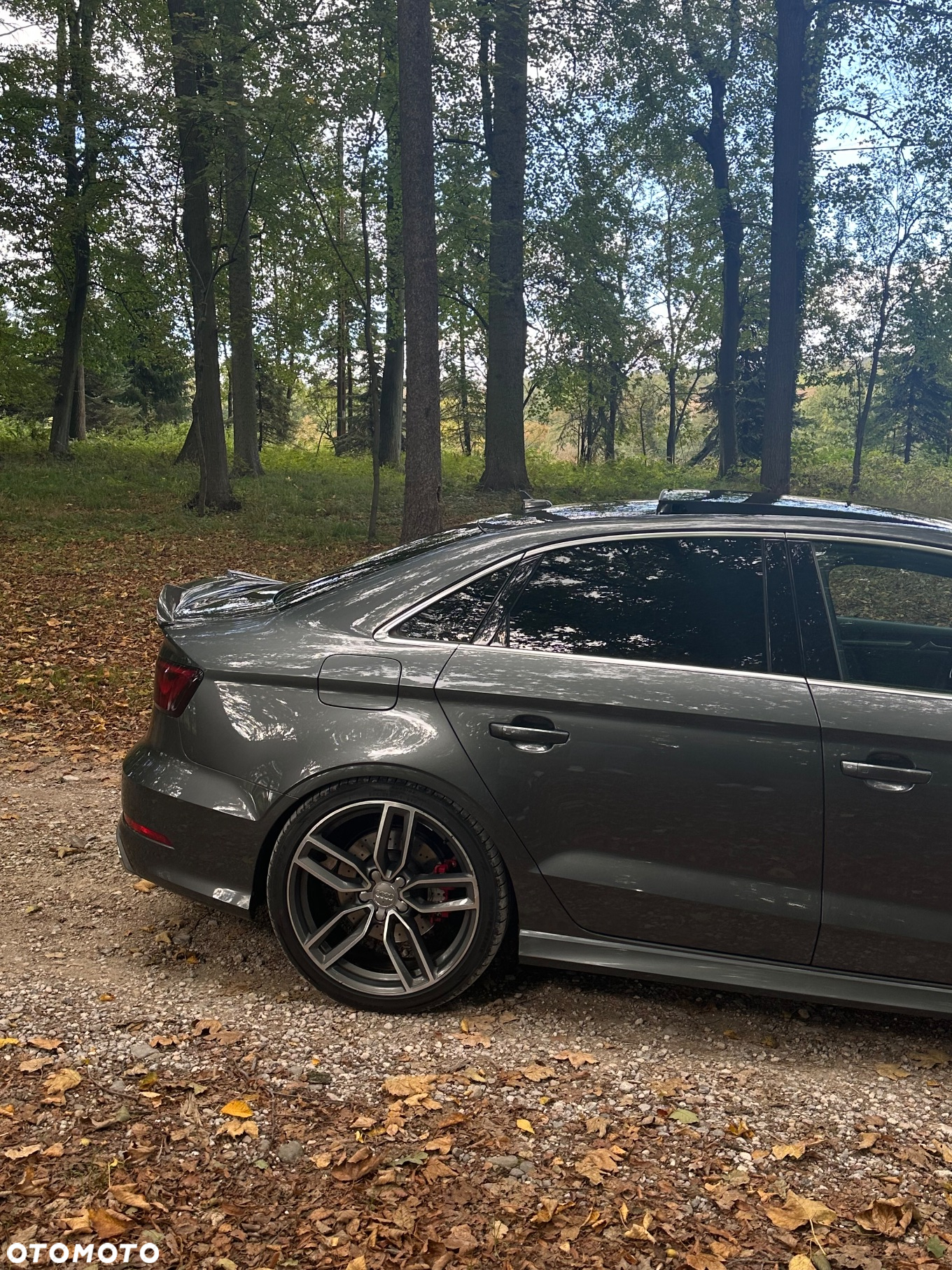 Audi S3 2.0 TFSI Quattro S tronic - 6