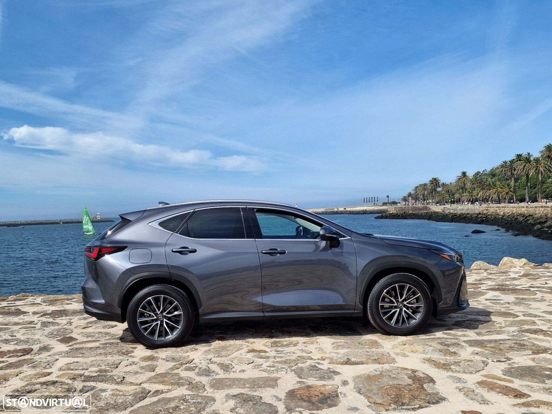 Lexus nx-450hplus - 9