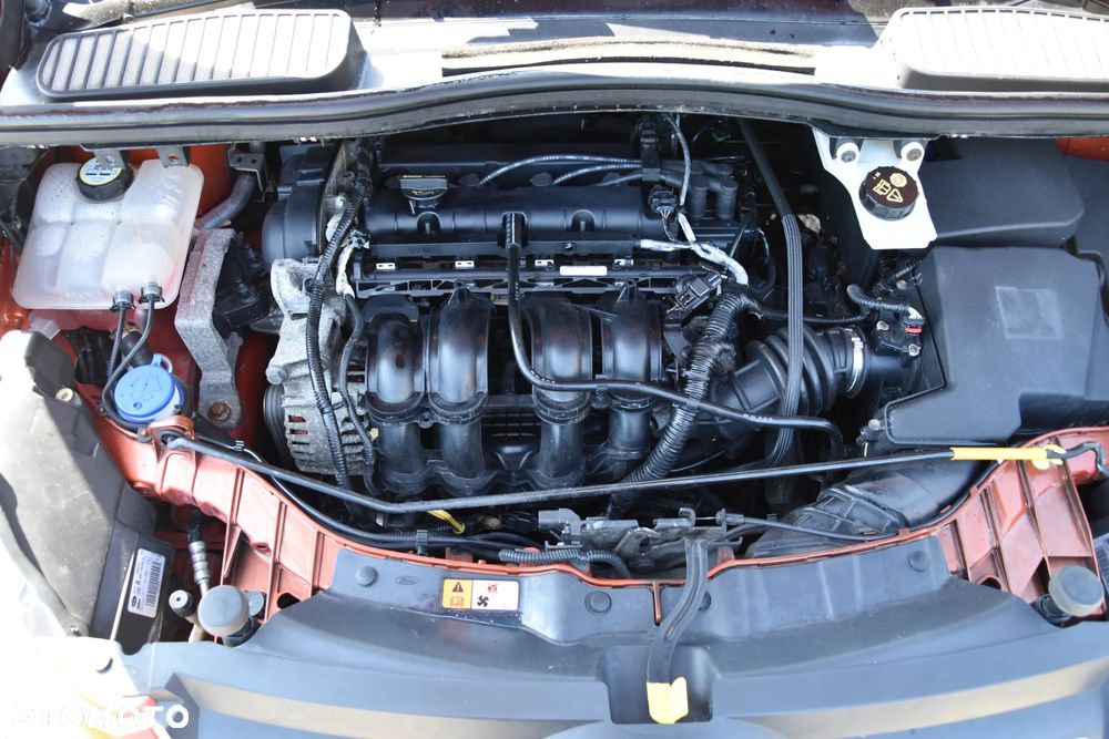 Ford C-MAX 1.6 Ti-VCT Champions Edition - 29