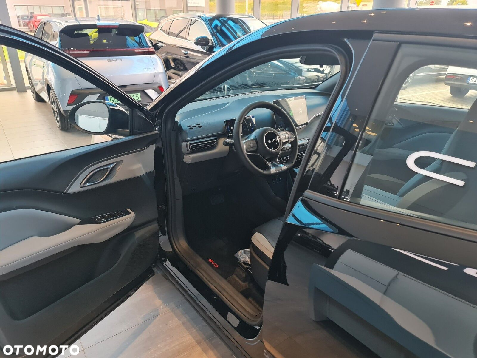 BYD Dolphin Surf - 30