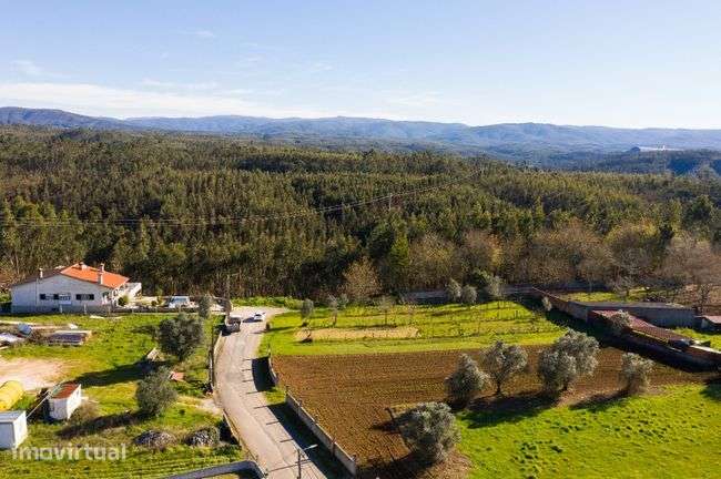 Terreno para venda na Catraia de Assequins - Águeda - Grande imagem: 2/8