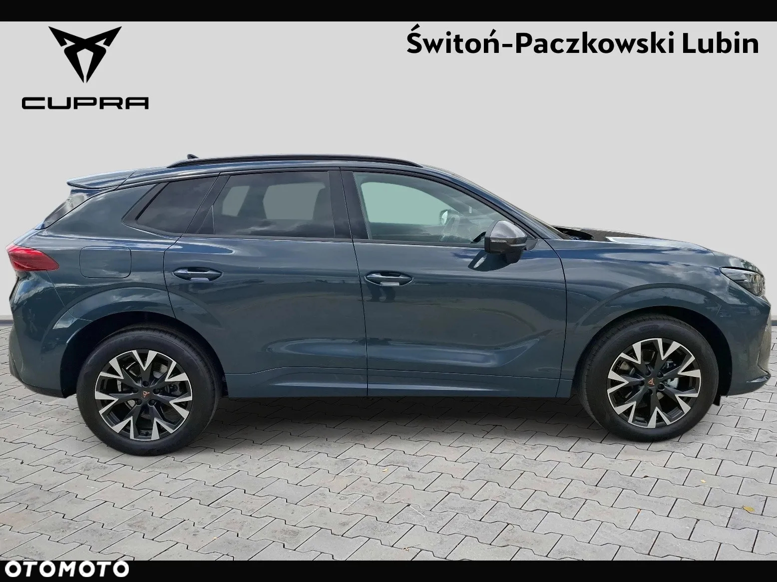 Cupra Terramar 1.5 eTSI mHEV DSG - 8