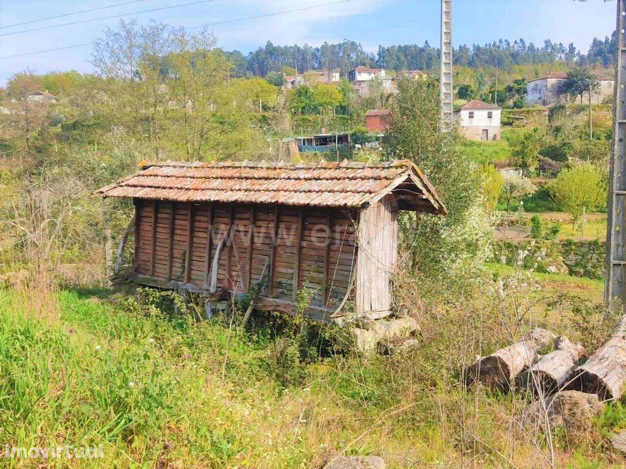 Quinta / Cinfães, Cinfães - Grande imagem: 2/3