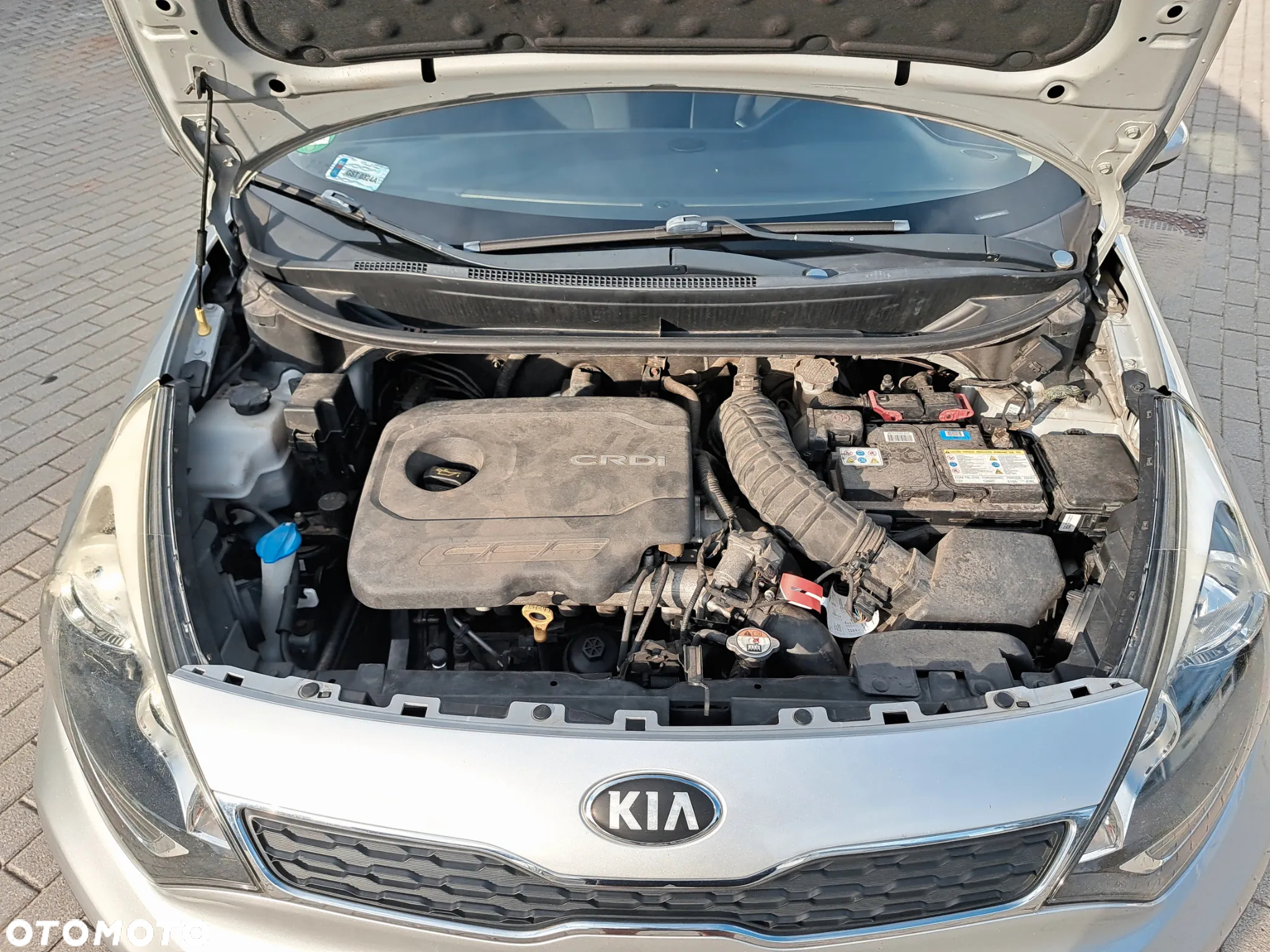 Kia Rio 1.1 crdi M - 14