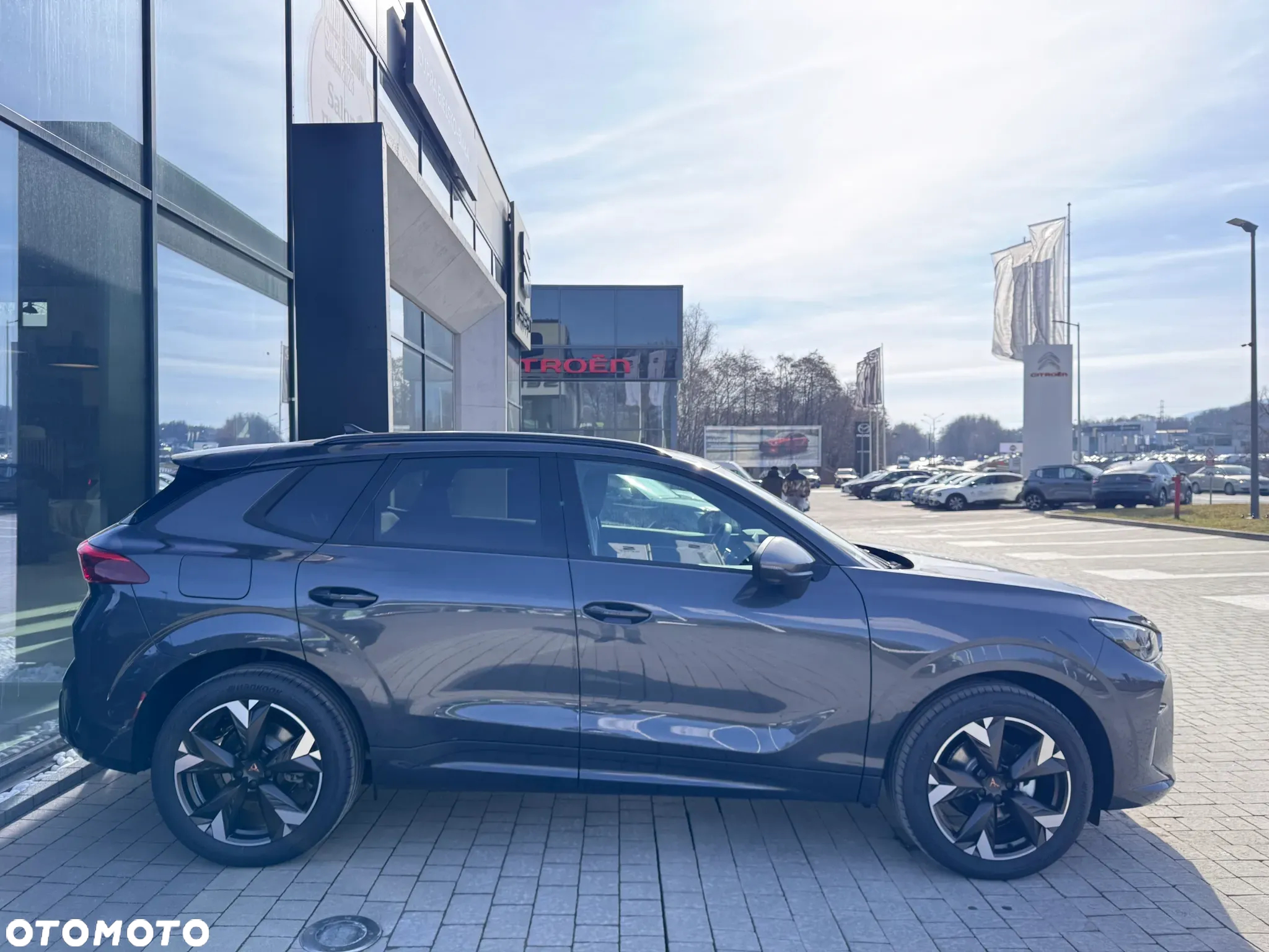 Cupra Terramar 1.5 eTSI mHEV DSG - 8