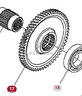 Massey Ferguson 8470 8480 Napęd Pompy Koło Zębate Zębatka CZĘŚCI V837070076 - 1
