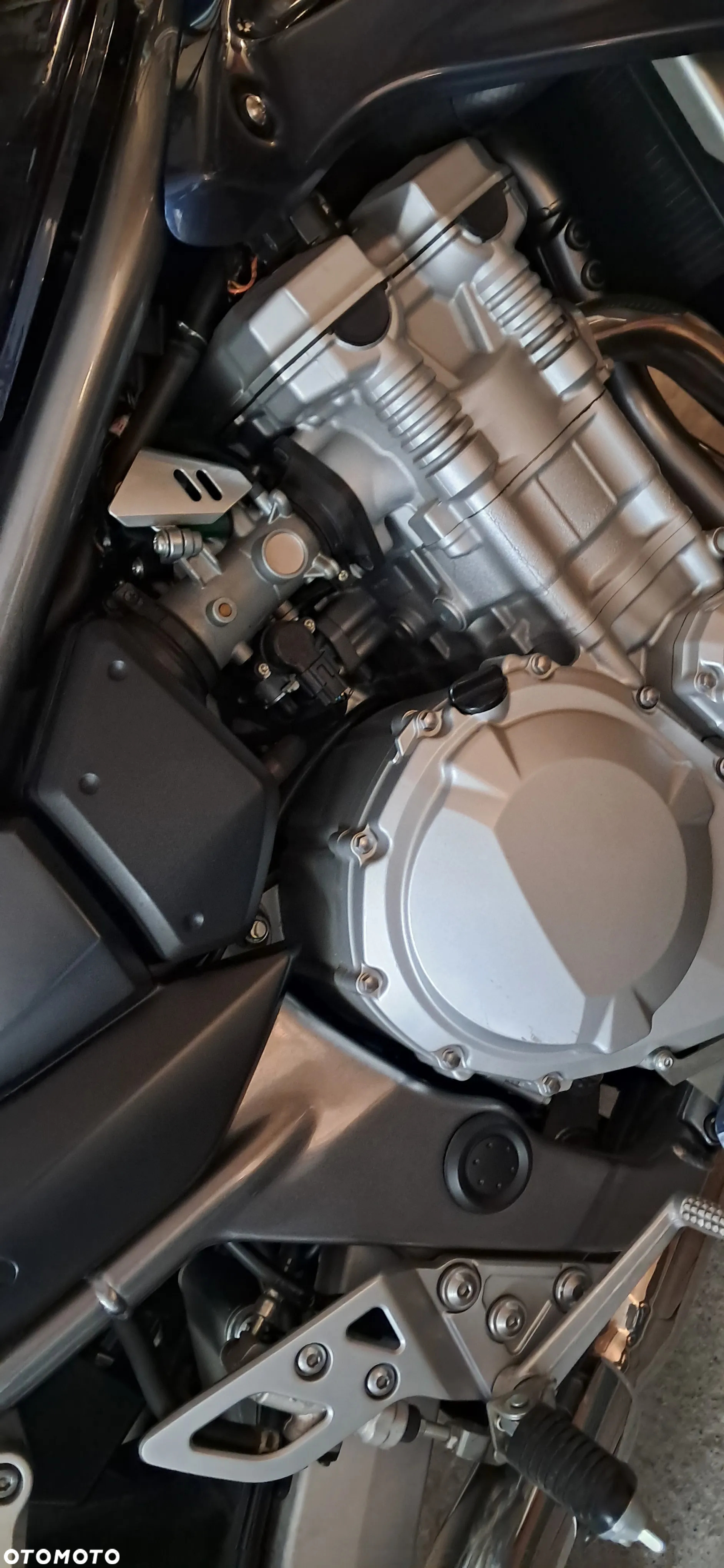 Suzuki Bandit - 3