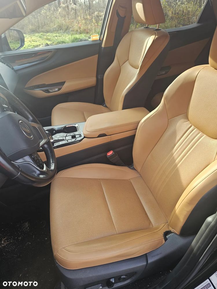 Lexus NX 450h+ Overtrail AWD - 6