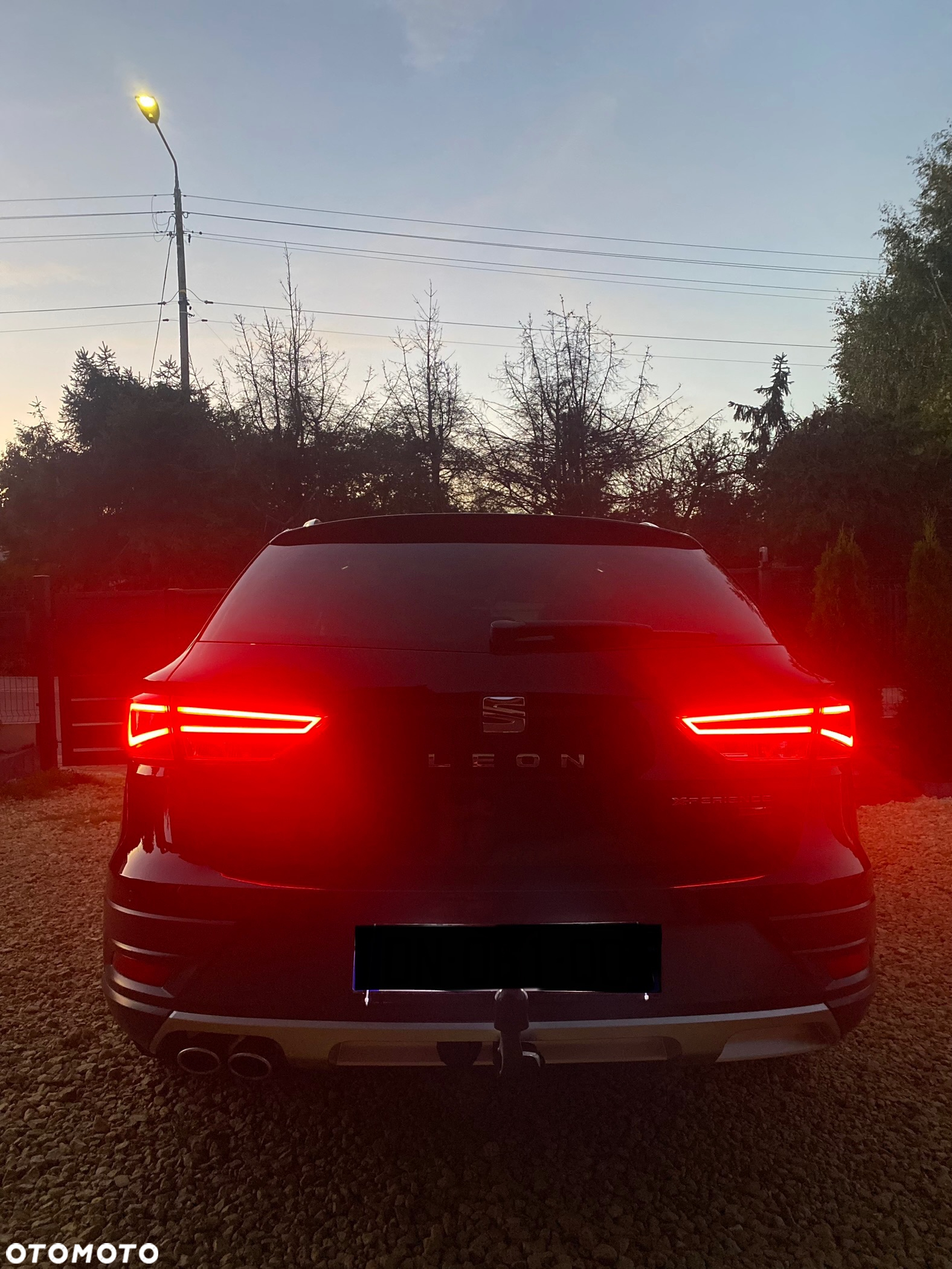 Seat Leon - 24