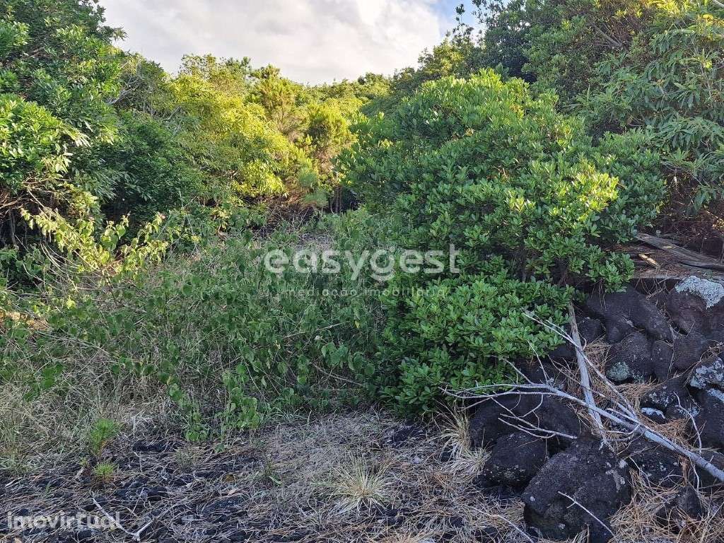 Terreno para construção com privacidade e vista Mar e Montanha - Grande imagem: 5/15