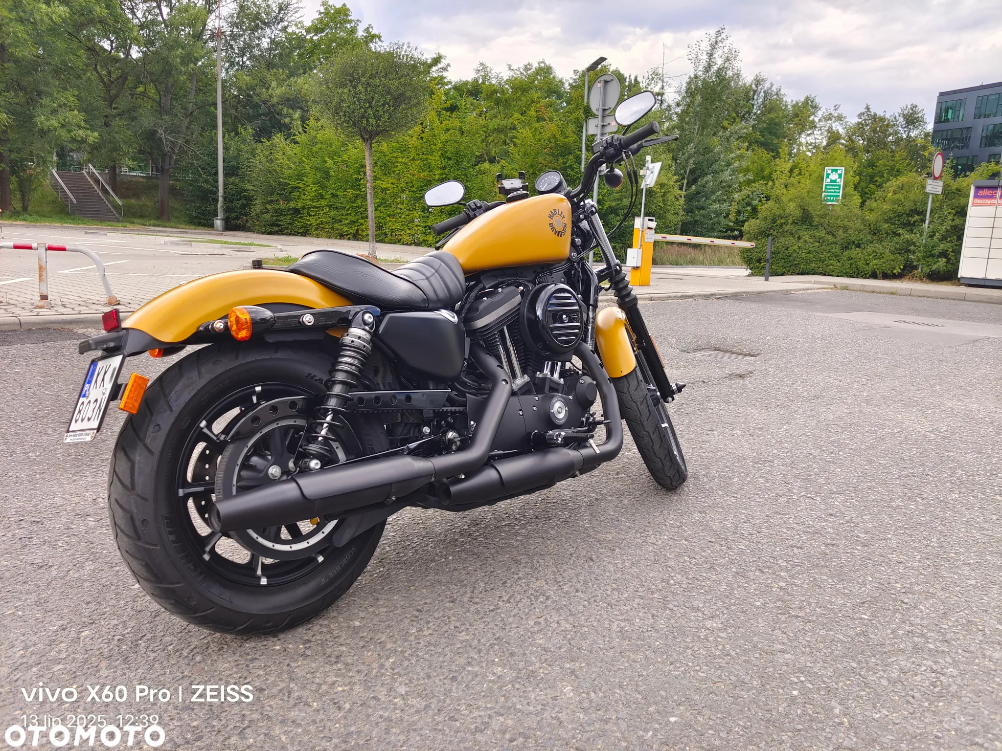 Harley-Davidson Sportster Iron 883 - 6