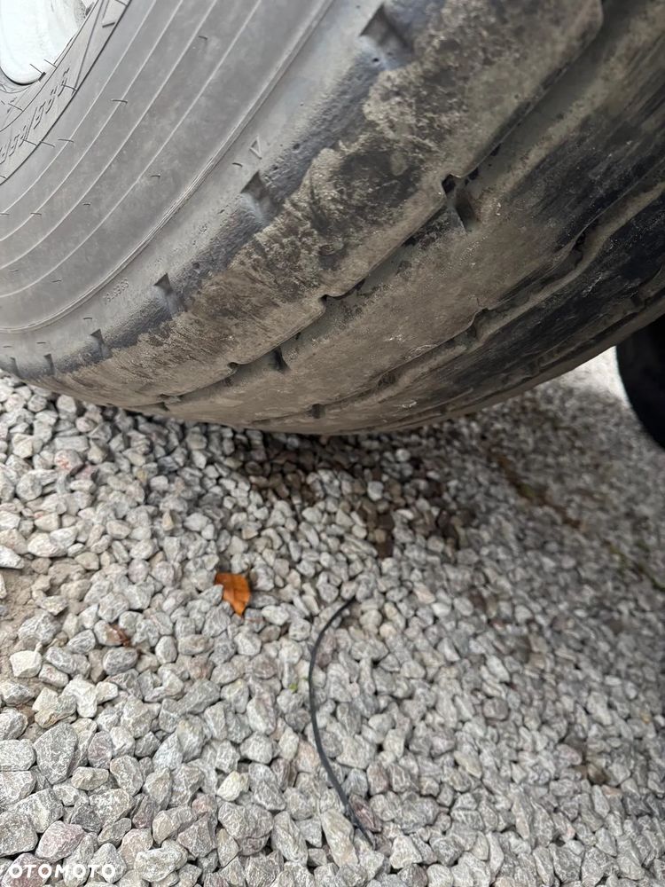 Schmitz Cargobull - 4