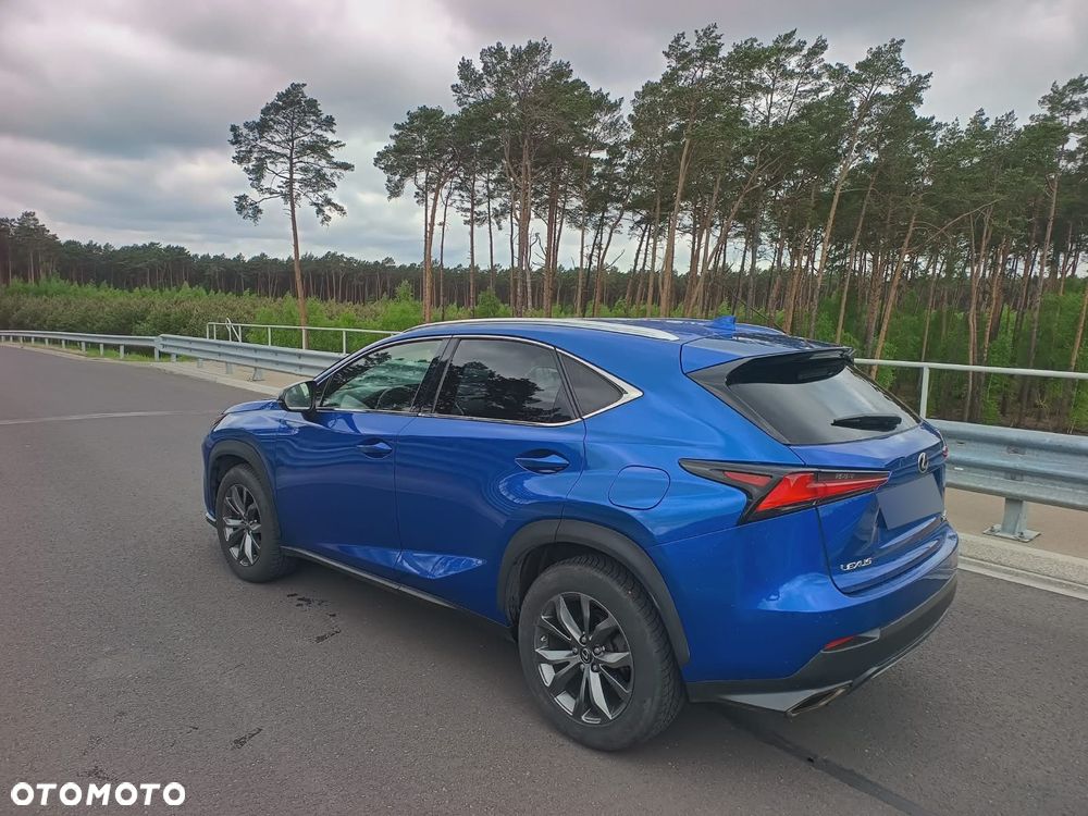 Lexus NX 300 F Sport AWD - 16