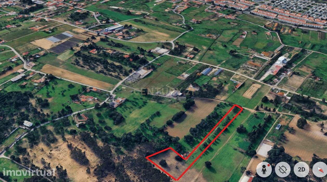 Quinta do Anjo - Terreno Rústico com 10 000m2 - Grande imagem: 3/21