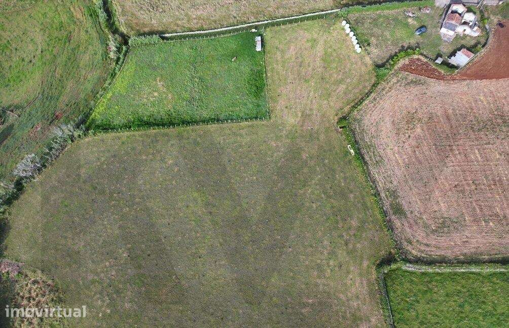 Terreno de 8990m2 com Vista Mar - Feteiras do nascente, Almagreira - Grande imagem: 4/9