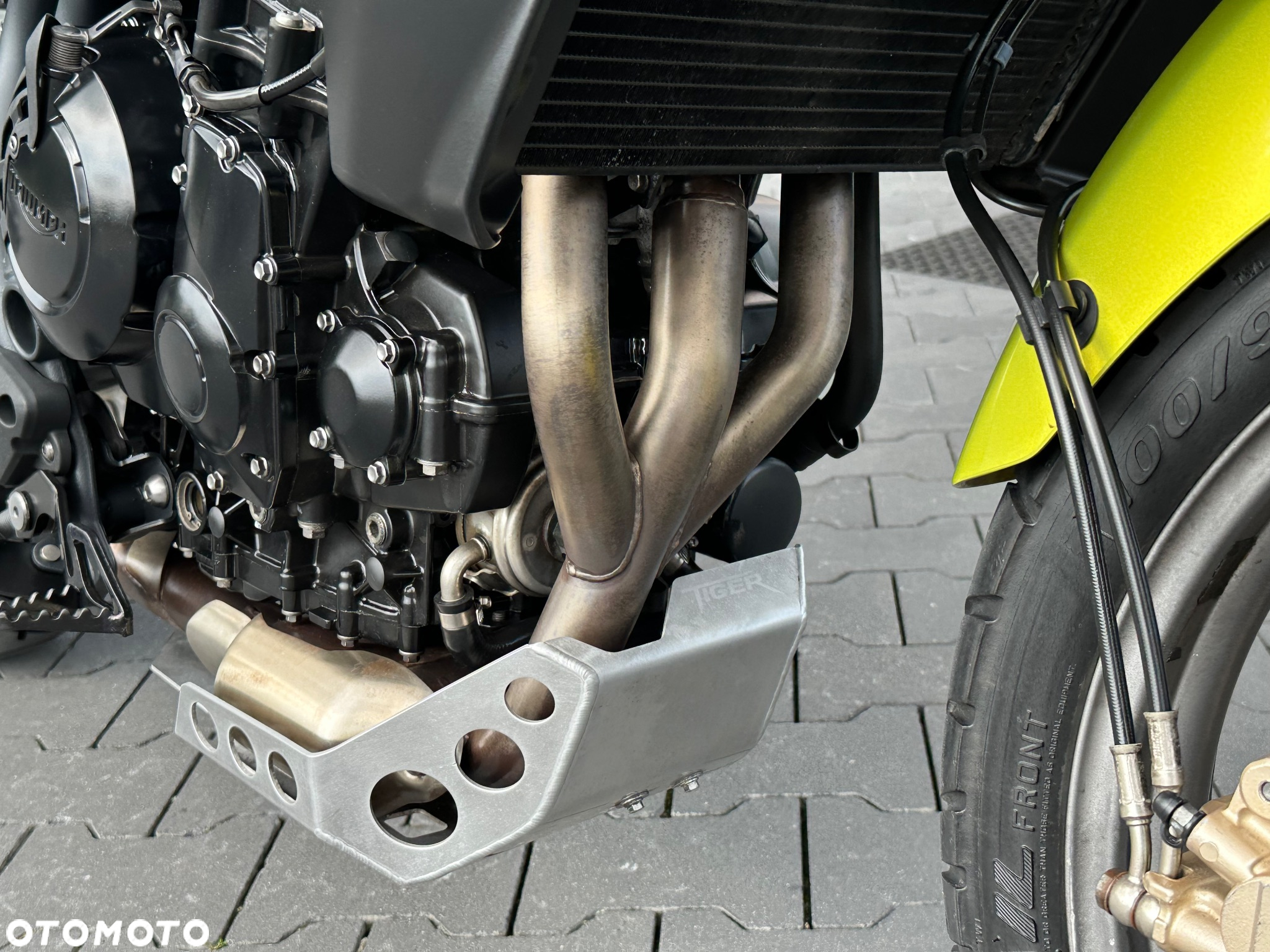 Triumph Tiger - 18