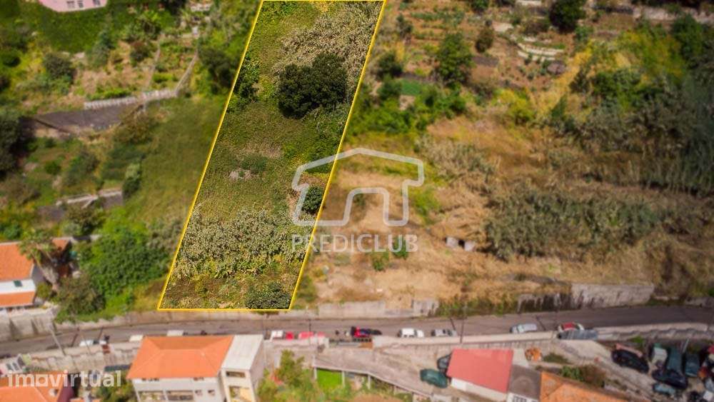 Terreno 1450 m2 - Funchal / São Roque - Grande imagem: 2/7