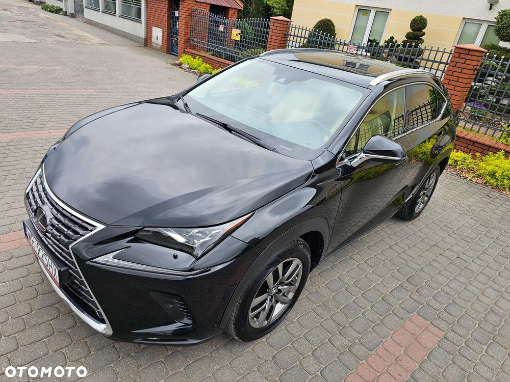Lexus NX 300h Elegance 2WD - 37